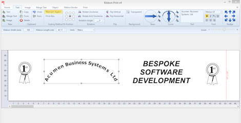 Ribbon Printing Software Screenshot
